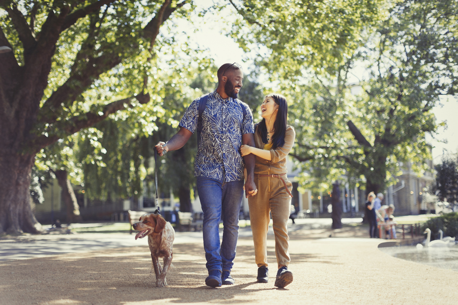 couple walking in a park with a dog